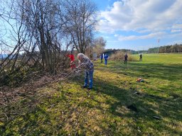 whatsapp image 2026-03-19 at 18.09.40 4